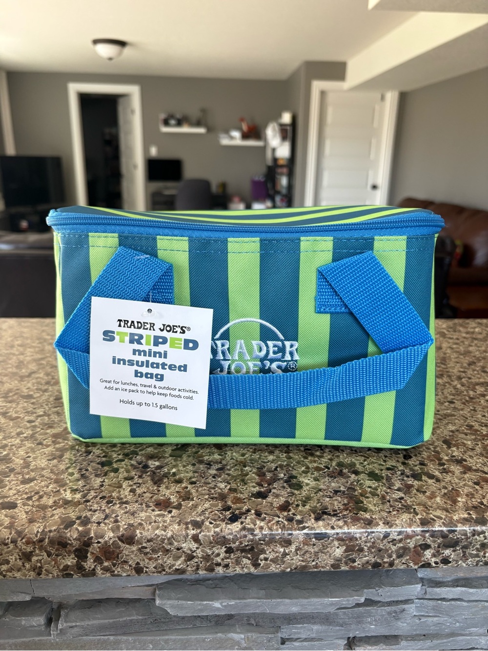 Trader Joe's Striped Insulated Mini Bag - Blue & Lime